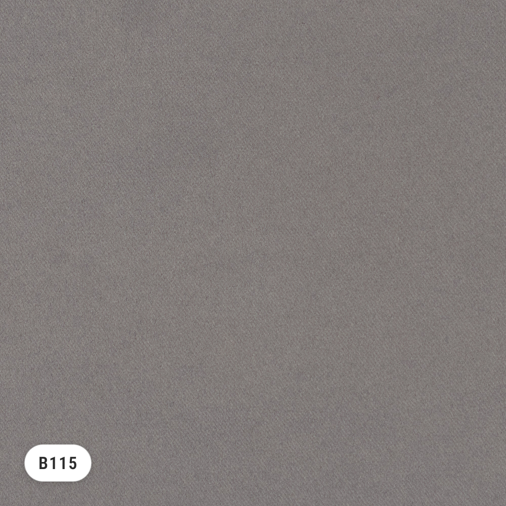 deNoise PRO – Grau (B115)