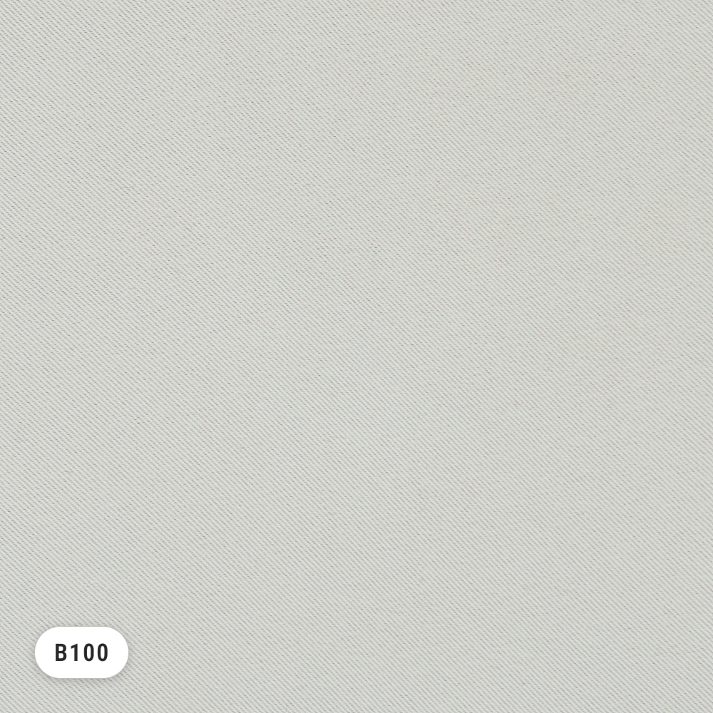 deNoise PRO – Weißgrau (B100)