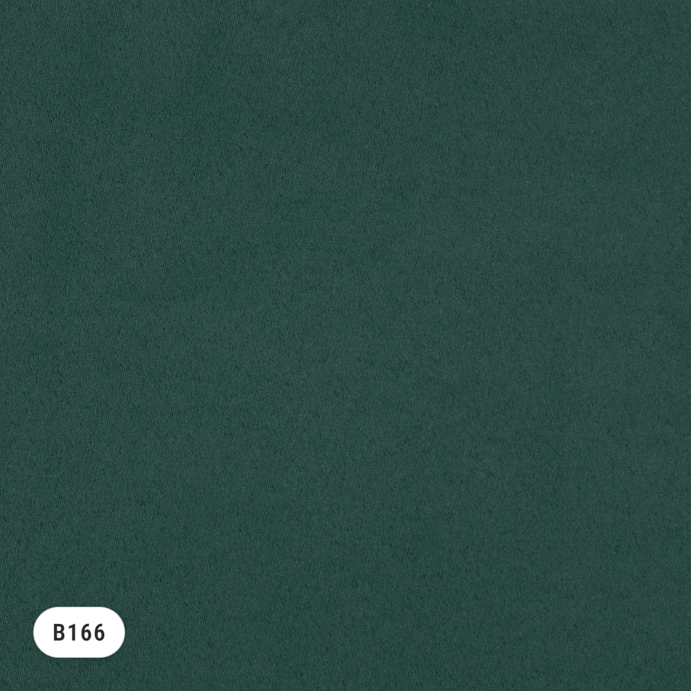 deNoise PRO – Dunkelgrün (B166)