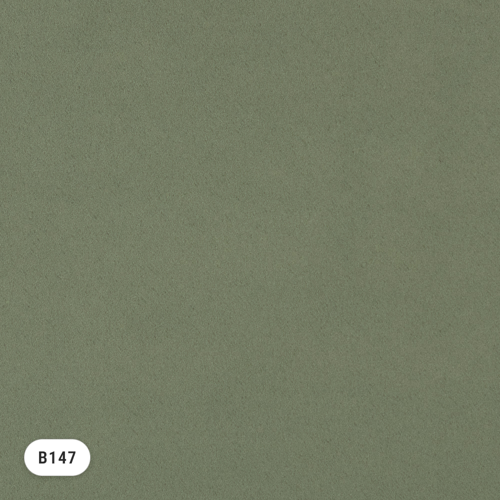 deNoise PRO – Graugrün (B147)